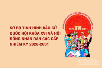 Sơ bộ tình hình bầu cử đại biểu Quốc hội khóa XVI và đại biểu Hội đồng nhân dân các cấp nhiệm kỳ 2026-2031